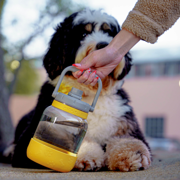 ASOBU Barkley Mustard 1,48 l - butelka na wodę tritanowa z miską dla psa