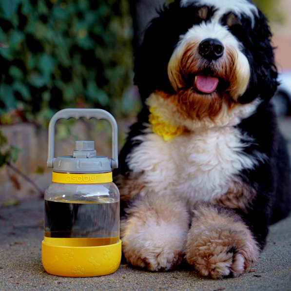 ASOBU Barkley Mustard 1,48 l - butelka na wodę tritanowa z miską dla psa