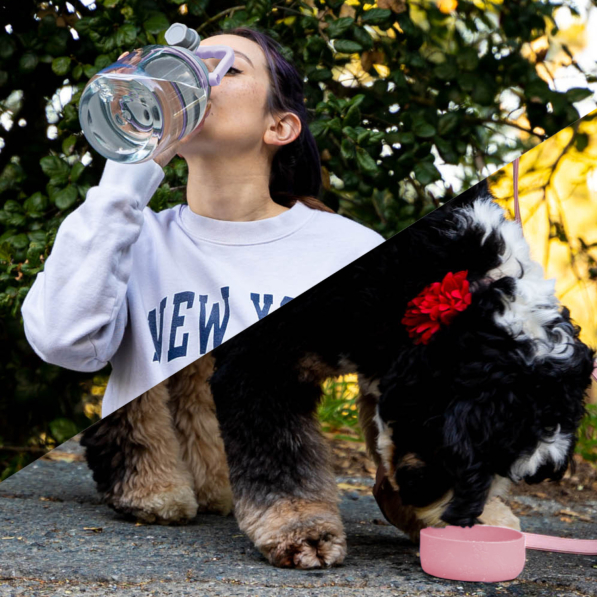 ASOBU Barkley Pink 1,48 l - butelka na wodę tritanowa z miską dla psa