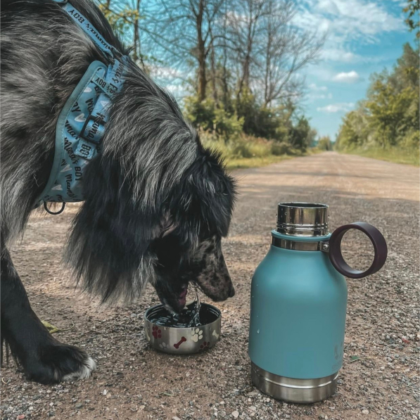 ASOBU Dog Bowl 0,975 l - butelka na wodę termiczna ze stali nierdzewnej z miską dla psa