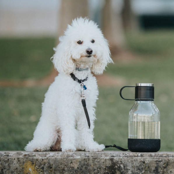 ASOBU Dog Bowl 1,5 l - butelka na wodę tritanowa z miską dla psa