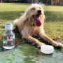 ASOBU Dog Bowl 1,5 l - butelka na wodę tritanowa z miską dla psa